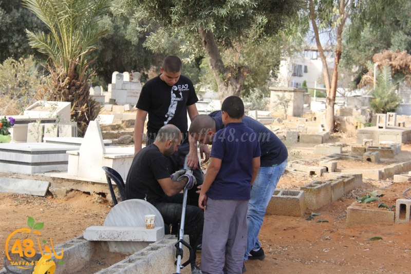 tasoooi3i1412 (35).JPG